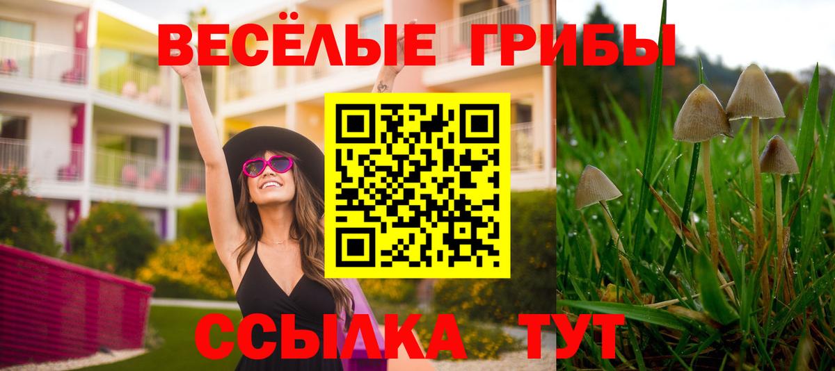 Галлюциногенные грибы MAGIC MUSHROOMS Чернушка
